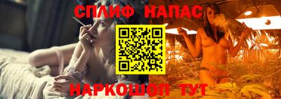 тгк Владивосток